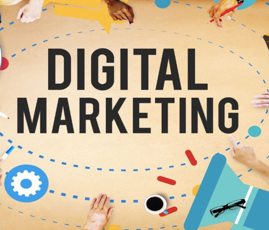 Digital Marketing Consultant in Delhi