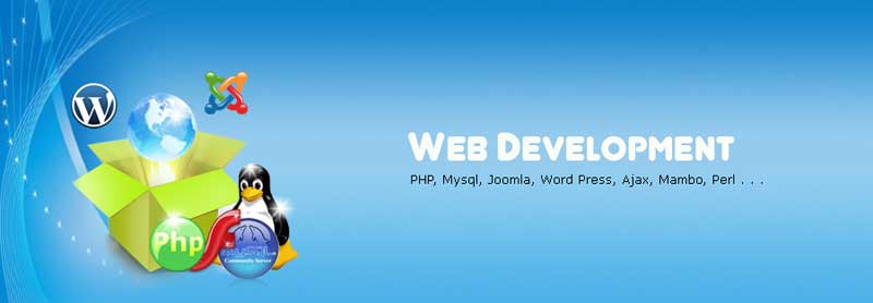 web_development