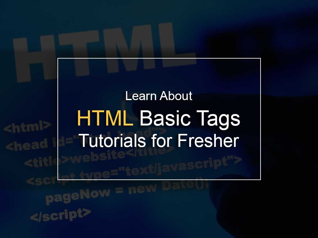 Learn About HTML Basic Tags – Tutorials for Fresher