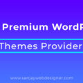 Best Premium WordPress Themes Provider