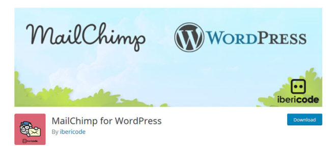 7 Best WordPress Plugins for Email Marketing Management