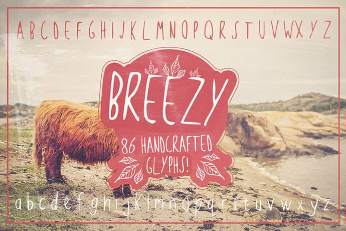 Best Hipster Fonts Download