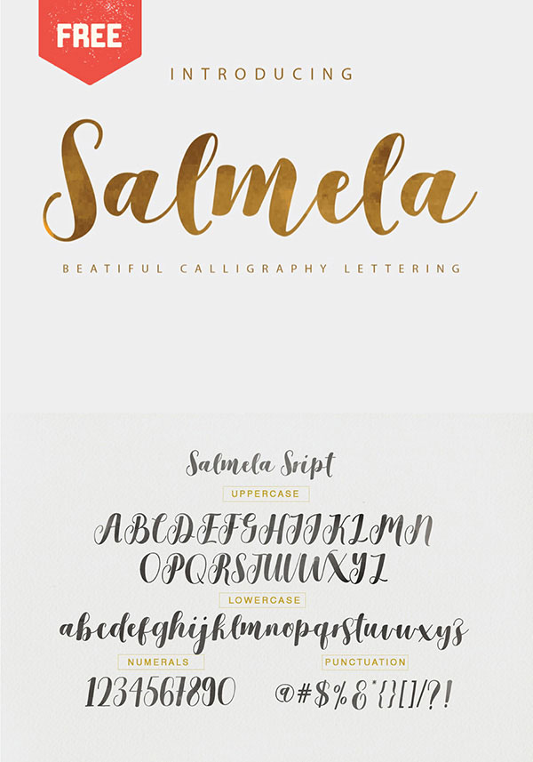 10 Free Calligraphy Fonts Download