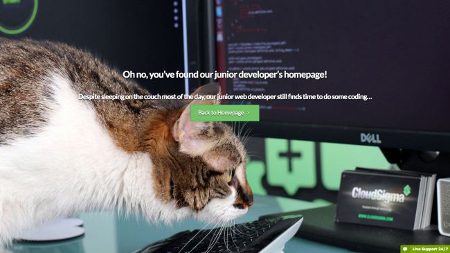 10 Examples Of Creative 404 Error Pages
