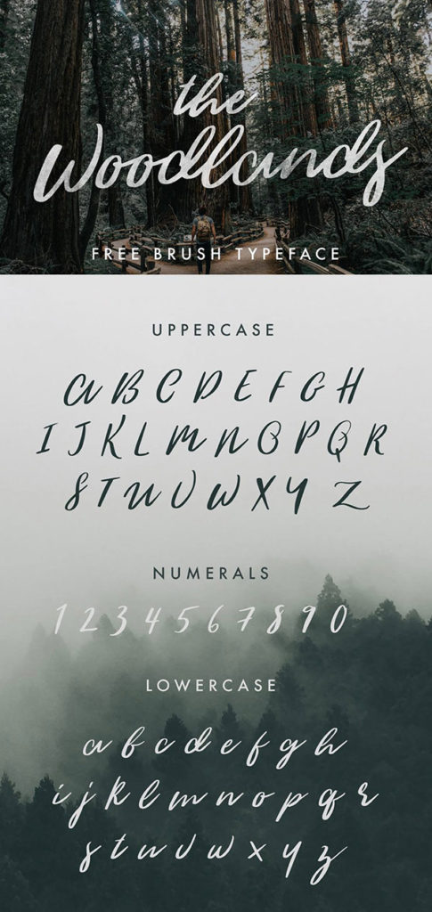 Free Calligraphy Fonts 