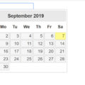 jquery-ui-datepicker-in-delhi