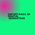 Importance-Of-Digital-Marketing-In-Delhi-India