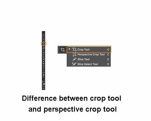 Difference between crop tool and perspective crop tool