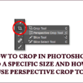 How to crop in photoshop to a specific size and how to use perspective crop tool