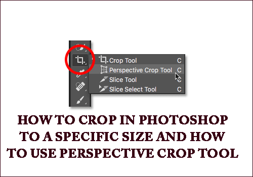 How to crop in photoshop to a specific size and how to use perspective crop tool