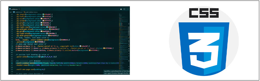 css courses in delhi
