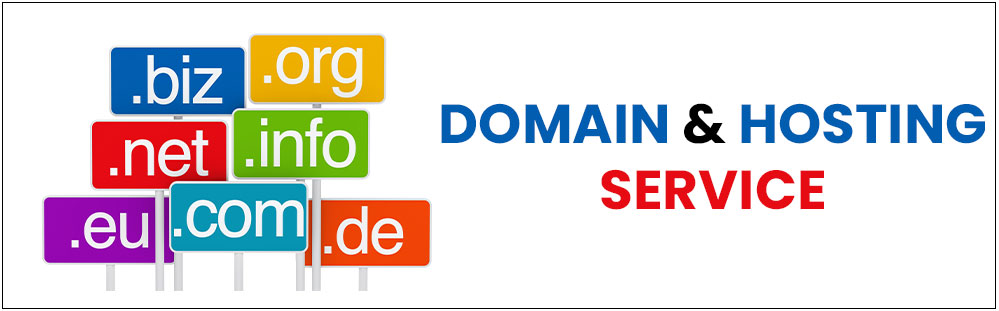 domain & hosting service in delhi