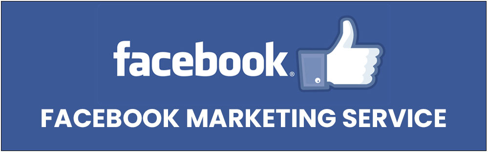 facebook marketing service in delhi