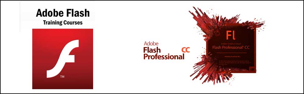 adobe-flash-course-in-delhi
