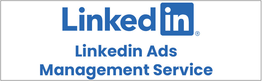 linkedin ads management service in delhi