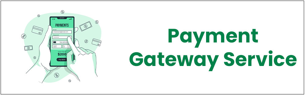 payment gateway service in delhi