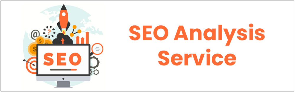 seo analysis service in delhi