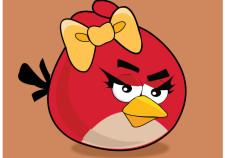 illustrator angry bird vector image