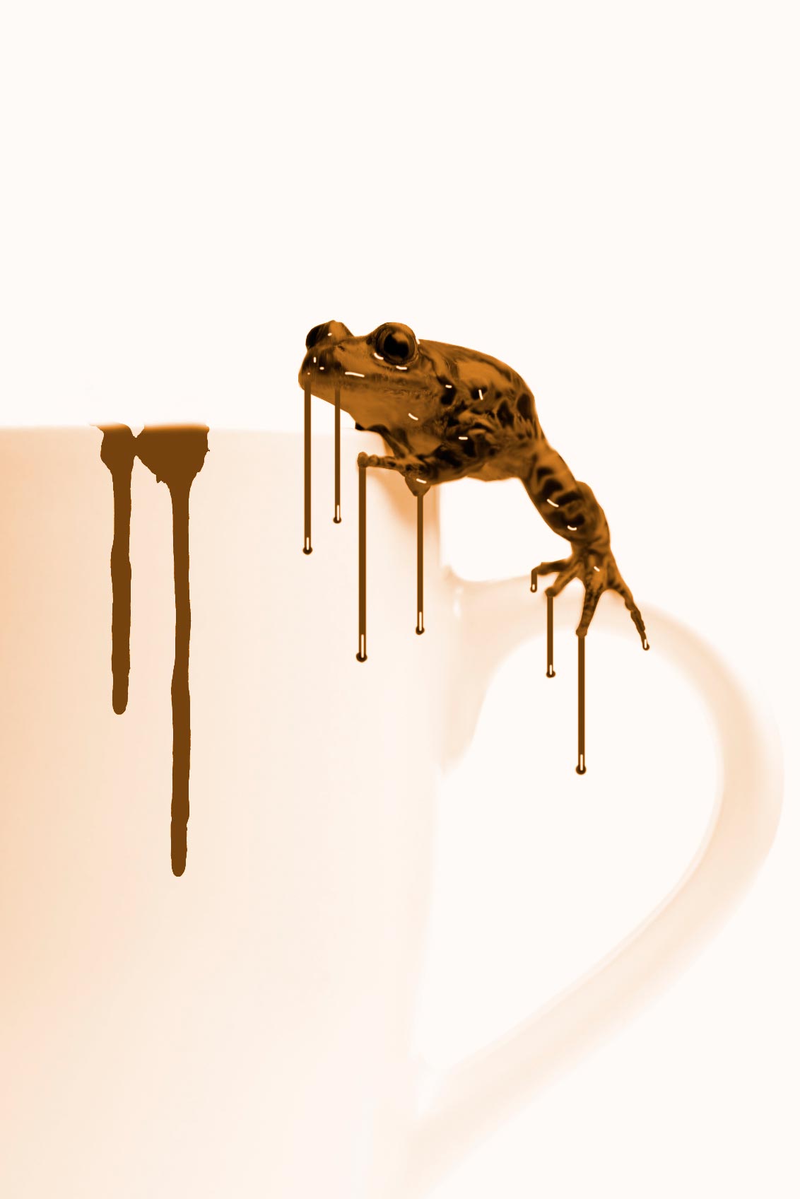 Photoshop Chocolate Milk Frog